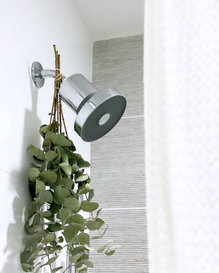 Why a Hard Water Filter for Your Shower Head is Important