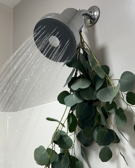 Jolie: The Best Showerhead for Water Pressure