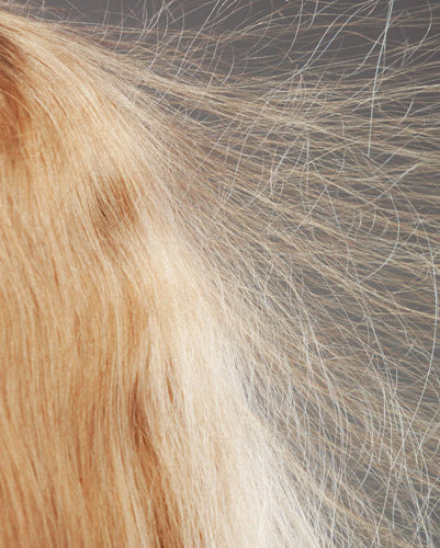 How Can I Get Rid of Static Hair? Here's 3 At-Home Solutions