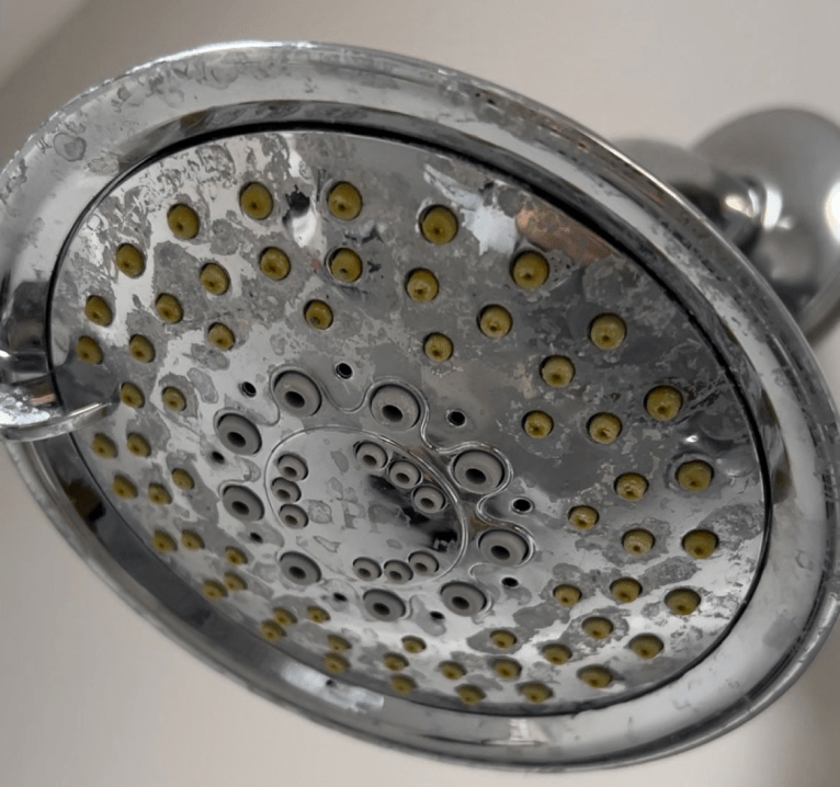 5 Tips on How to Reverse the Effects of Hard Water on Hair